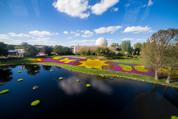 , Star Wars Land Aerial Shots, Epcot Flower and Garden & Magic Kingdom Updates