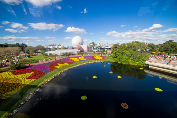 , Star Wars Land Aerial Shots, Epcot Flower and Garden & Magic Kingdom Updates