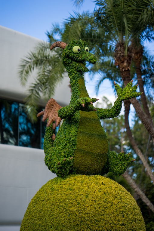 , Star Wars Land Aerial Shots, Epcot Flower and Garden & Magic Kingdom Updates