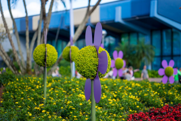 , Star Wars Land Aerial Shots, Epcot Flower and Garden & Magic Kingdom Updates