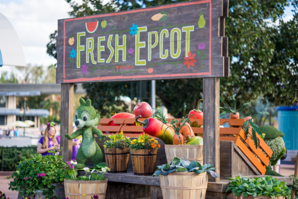 , Star Wars Land Aerial Shots, Epcot Flower and Garden & Magic Kingdom Updates