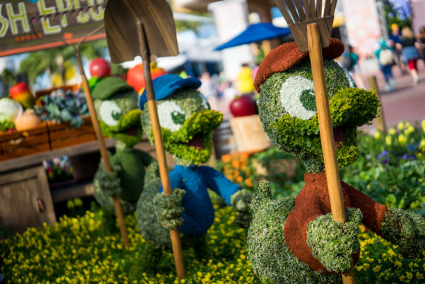 , Star Wars Land Aerial Shots, Epcot Flower and Garden & Magic Kingdom Updates