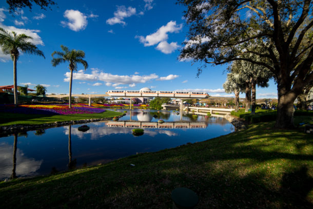 , Star Wars Land Aerial Shots, Epcot Flower and Garden & Magic Kingdom Updates