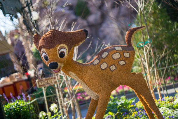 , Star Wars Land Aerial Shots, Epcot Flower and Garden & Magic Kingdom Updates