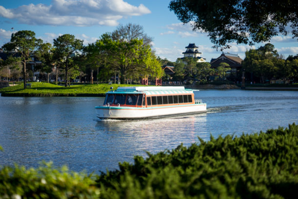 , Star Wars Land Aerial Shots, Epcot Flower and Garden & Magic Kingdom Updates