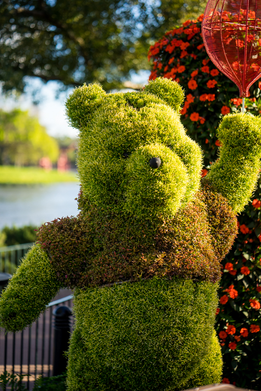 , Star Wars Land Aerial Shots, Epcot Flower and Garden & Magic Kingdom Updates