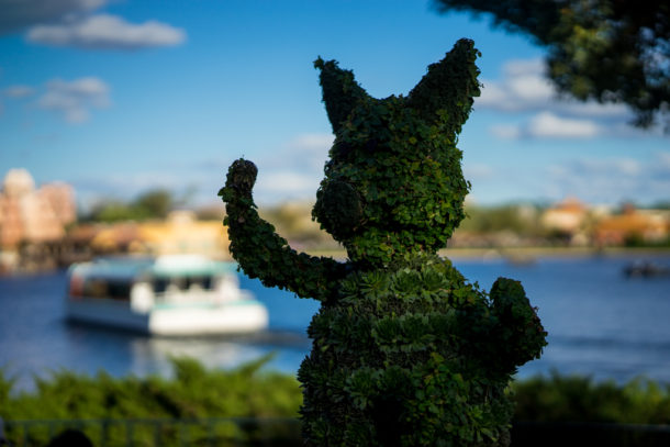 , Star Wars Land Aerial Shots, Epcot Flower and Garden & Magic Kingdom Updates