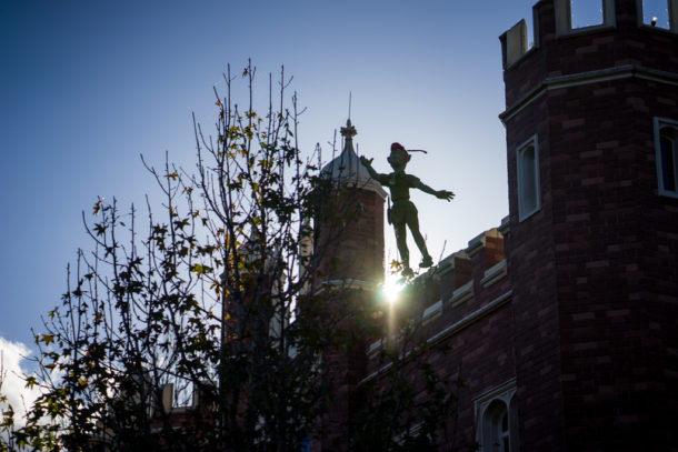 , Star Wars Land Aerial Shots, Epcot Flower and Garden & Magic Kingdom Updates