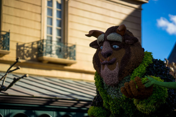 , Star Wars Land Aerial Shots, Epcot Flower and Garden & Magic Kingdom Updates