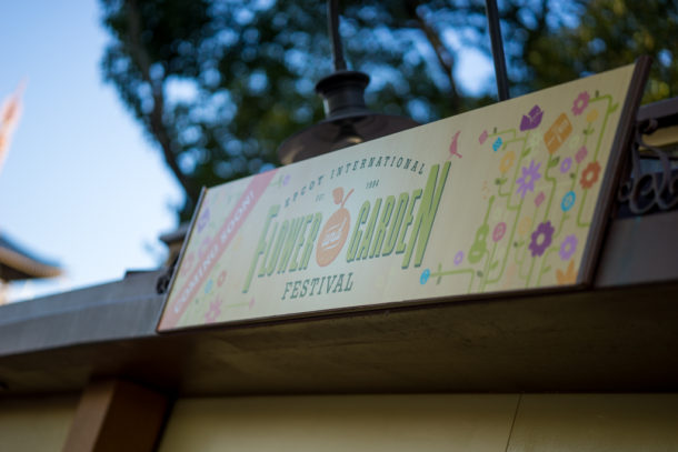 , Star Wars Land Aerial Shots, Epcot Flower and Garden & Magic Kingdom Updates