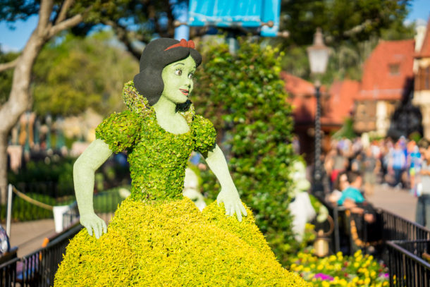 , Star Wars Land Aerial Shots, Epcot Flower and Garden & Magic Kingdom Updates
