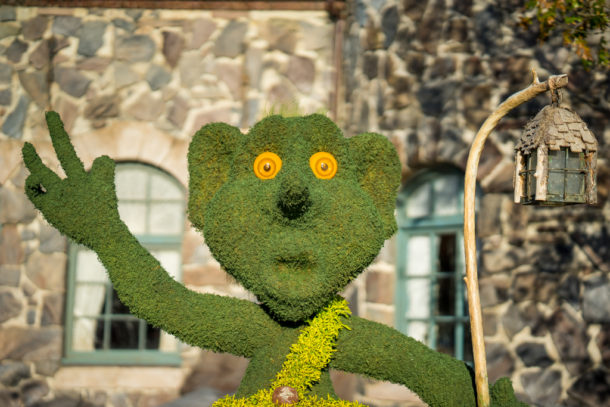 , Star Wars Land Aerial Shots, Epcot Flower and Garden & Magic Kingdom Updates