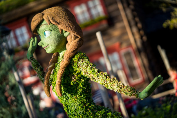 , Star Wars Land Aerial Shots, Epcot Flower and Garden & Magic Kingdom Updates