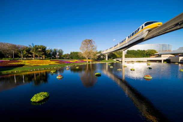 , Star Wars Land Aerial Shots, Epcot Flower and Garden & Magic Kingdom Updates