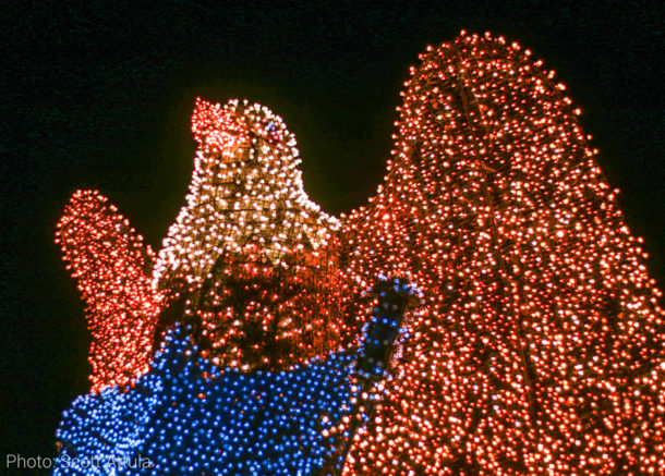 , Disneyland Update – Rainy Days Are The New Off Season