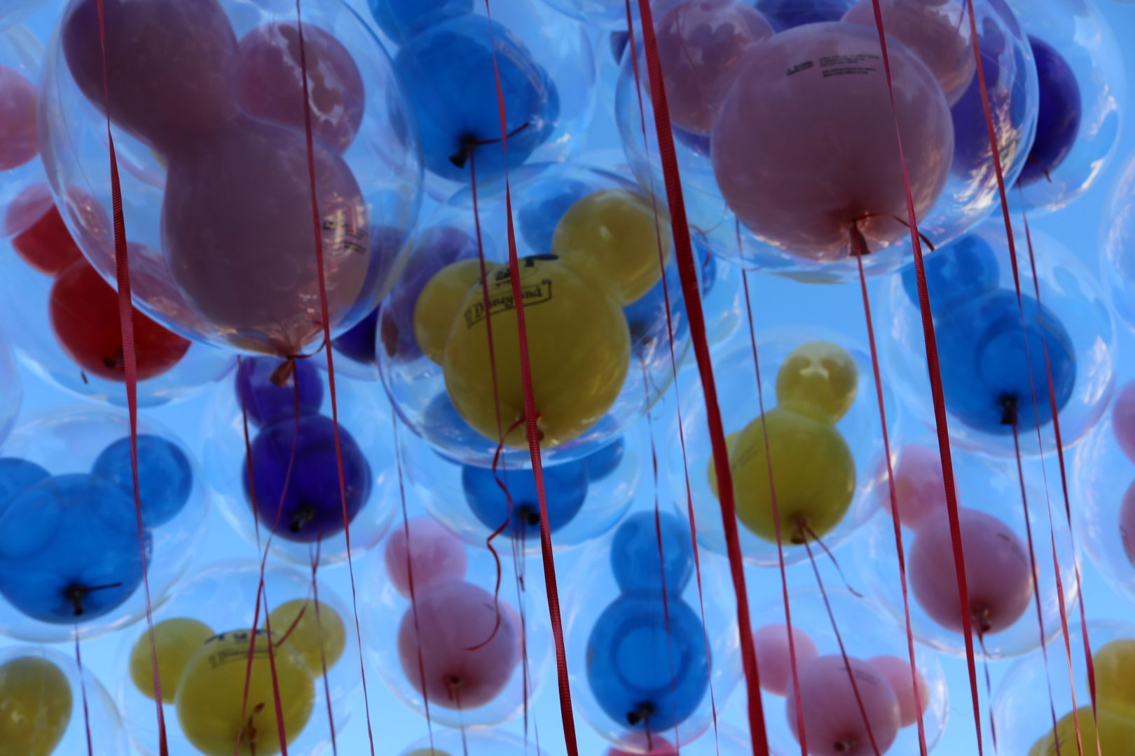 Disneyland Resort News and Photos – What’s Love Got To Do With It