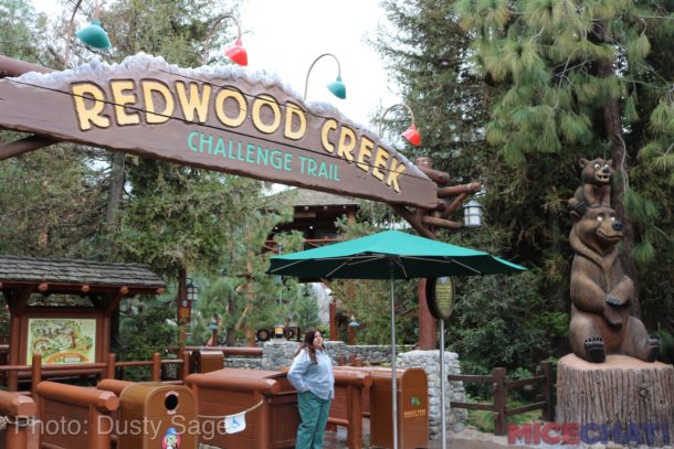 , Disneyland Update – Rainy Days Are The New Off Season