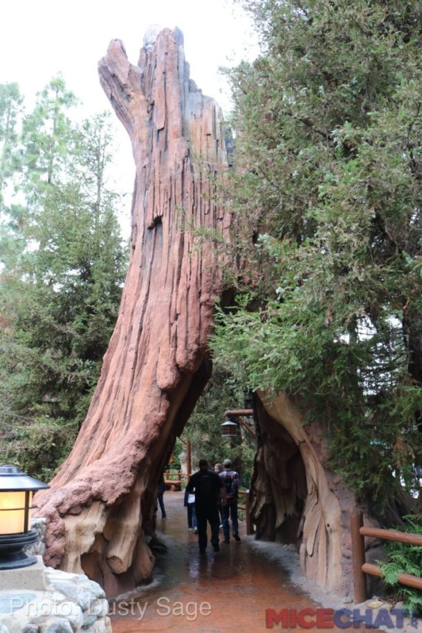 , Disneyland Update – Rainy Days Are The New Off Season