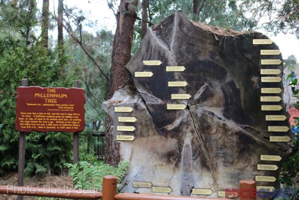 , Disneyland Update – Rainy Days Are The New Off Season