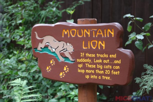 , Disneyland Update – Rainy Days Are The New Off Season