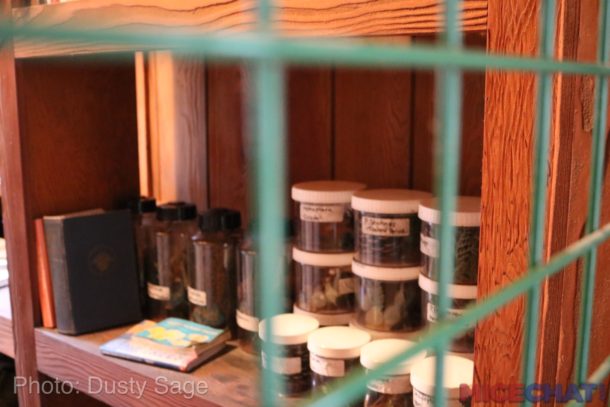 , Disneyland Update – Rainy Days Are The New Off Season