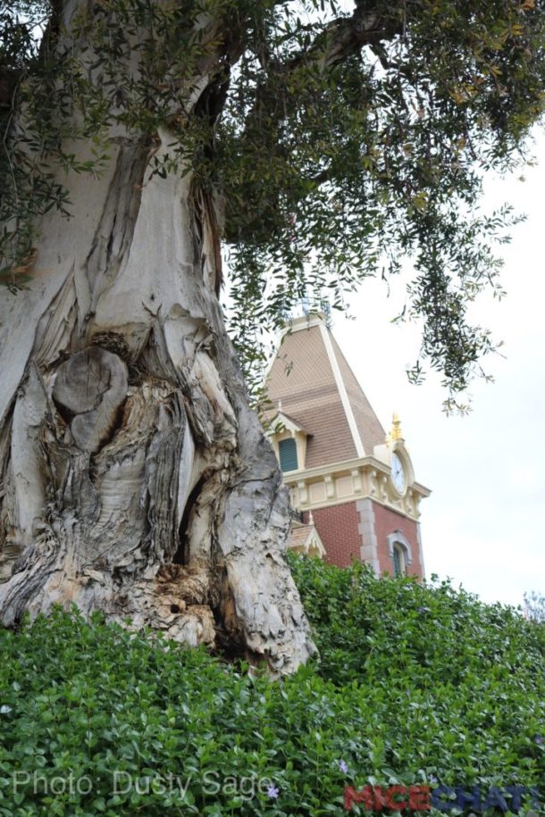 , Disneyland Update – Rainy Days Are The New Off Season