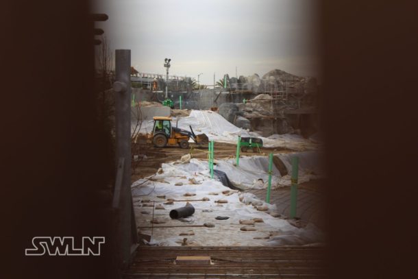 , Star Wars Land News: Princess or Legend?