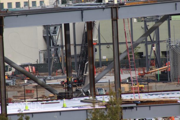 , Star Wars Land News: Princess or Legend?