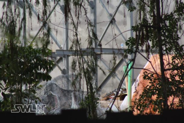 , Star Wars Land News: Princess or Legend?