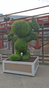 , Knott&rsquo;s Berry Farm Photo Update &ndash; Boomerang and Boysenberries