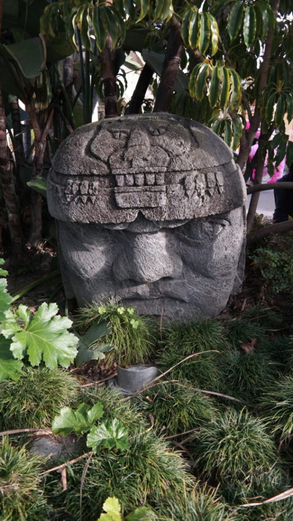 , Knott&rsquo;s Berry Farm Photo Update &ndash; Boomerang and Boysenberries