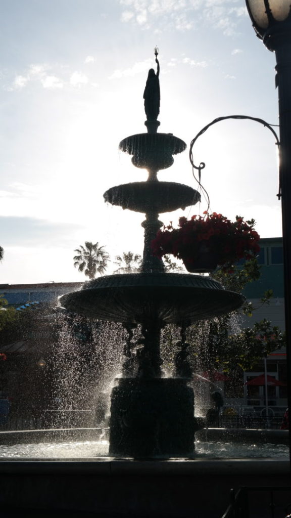 , Knott&rsquo;s Berry Farm Photo Update &ndash; Boomerang and Boysenberries