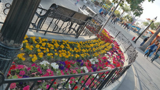 , Knott&rsquo;s Berry Farm Photo Update &ndash; Boomerang and Boysenberries