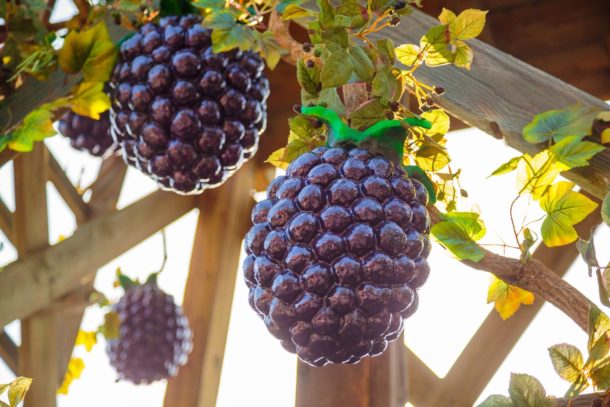 , Knott&rsquo;s Berry Farm Photo Update &ndash; Boomerang and Boysenberries