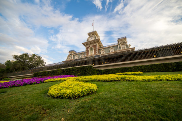 , Magic Kingdom’s New Brew & Other Miscellaneous Happenings