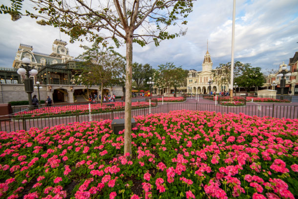 , Magic Kingdom’s New Brew & Other Miscellaneous Happenings