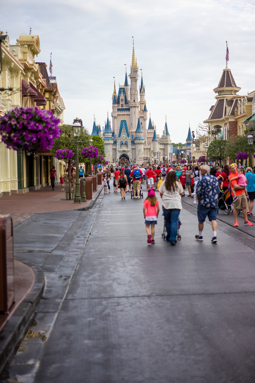 , Magic Kingdom’s New Brew & Other Miscellaneous Happenings