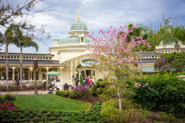 , Magic Kingdom’s New Brew & Other Miscellaneous Happenings