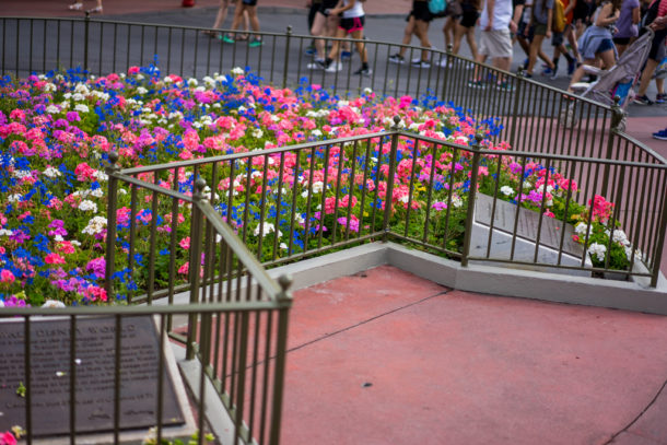 , Magic Kingdom’s New Brew & Other Miscellaneous Happenings