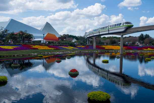 , Walt Disney World Update: Flower and Garden Continues While Star Wars Land Rises