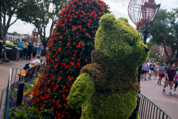 , Walt Disney World Update: Flower and Garden Continues While Star Wars Land Rises