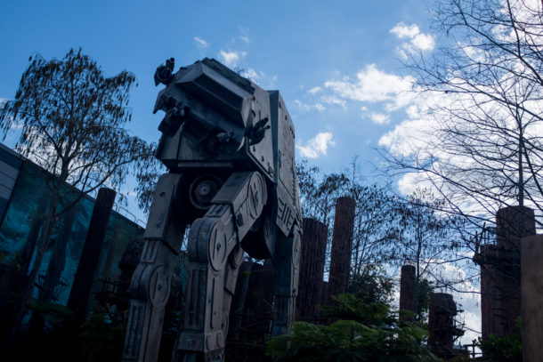 , Walt Disney World Update: Flower and Garden Continues While Star Wars Land Rises