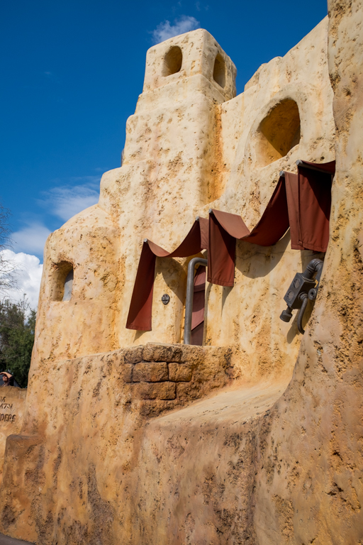 , Walt Disney World Update: Flower and Garden Continues While Star Wars Land Rises