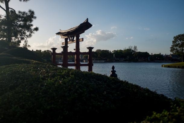 , Walt Disney World Update: Flower and Garden Continues While Star Wars Land Rises