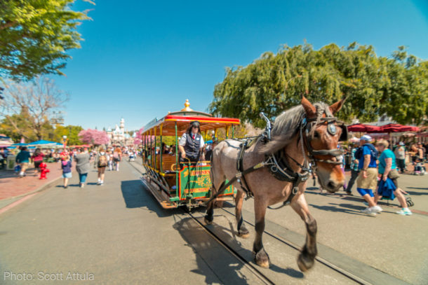 , Disneyland Update: The Bunny Hop