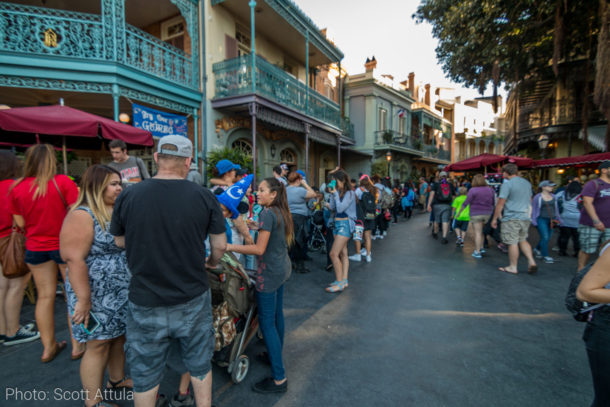 , Disneyland Update: The Bunny Hop