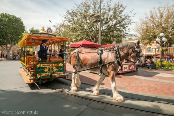 , Disneyland Update &#8211; Pirates Prepare to Return with Expanded Offerings