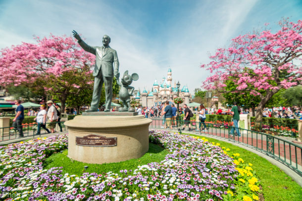 , Disneyland Update – Pirates Prepare to Return with Expanded Offerings