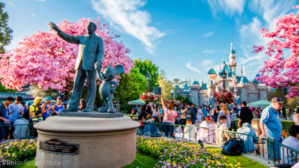 , Disneyland Update – Honk If You Love Autopia