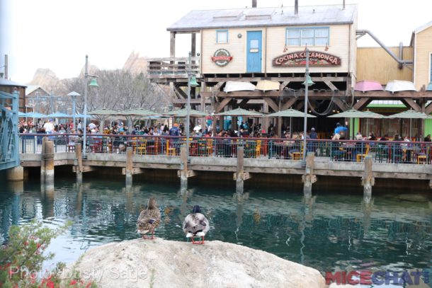 , Disneyland Photo and Rumor Update – Major Fantasmic & Halloween Changes